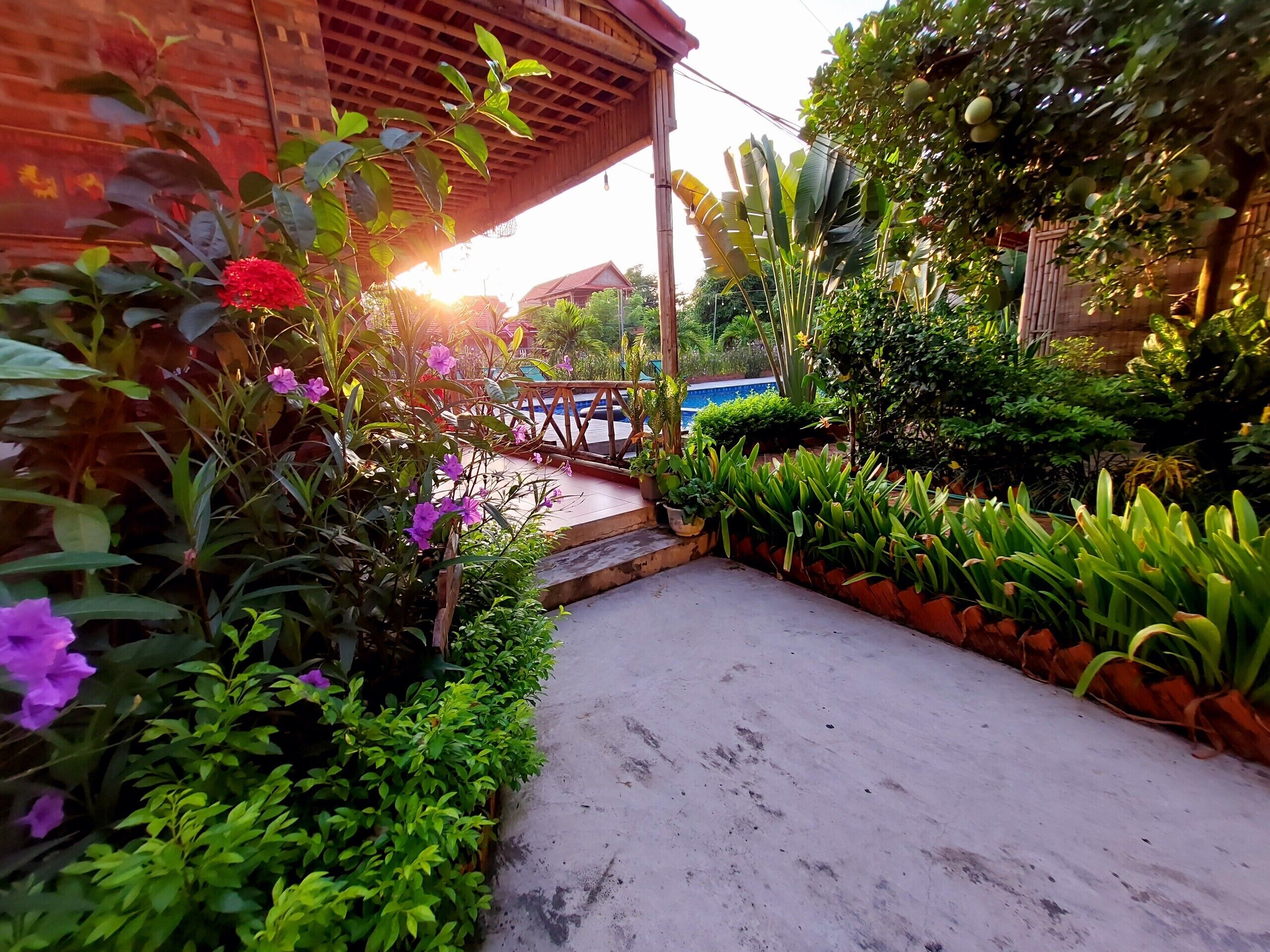 A garden pathway leading to a covered area with various plants and flowers.