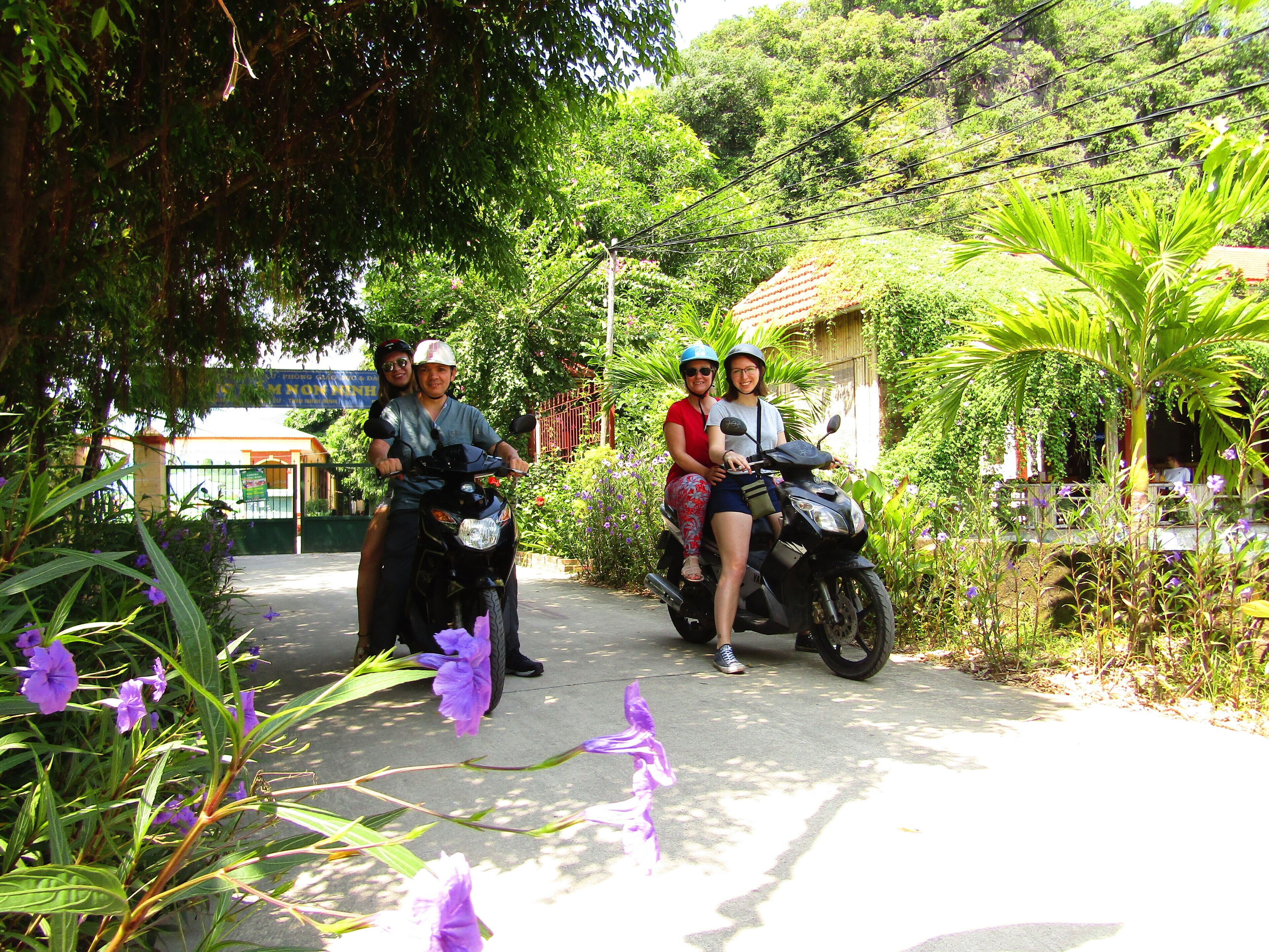 A paved pathway with lush greenery and purple flowers.