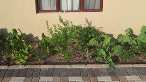 Janela com três painéis e cortina, embutida em parede bege com detalhe em tijolos abaixo.