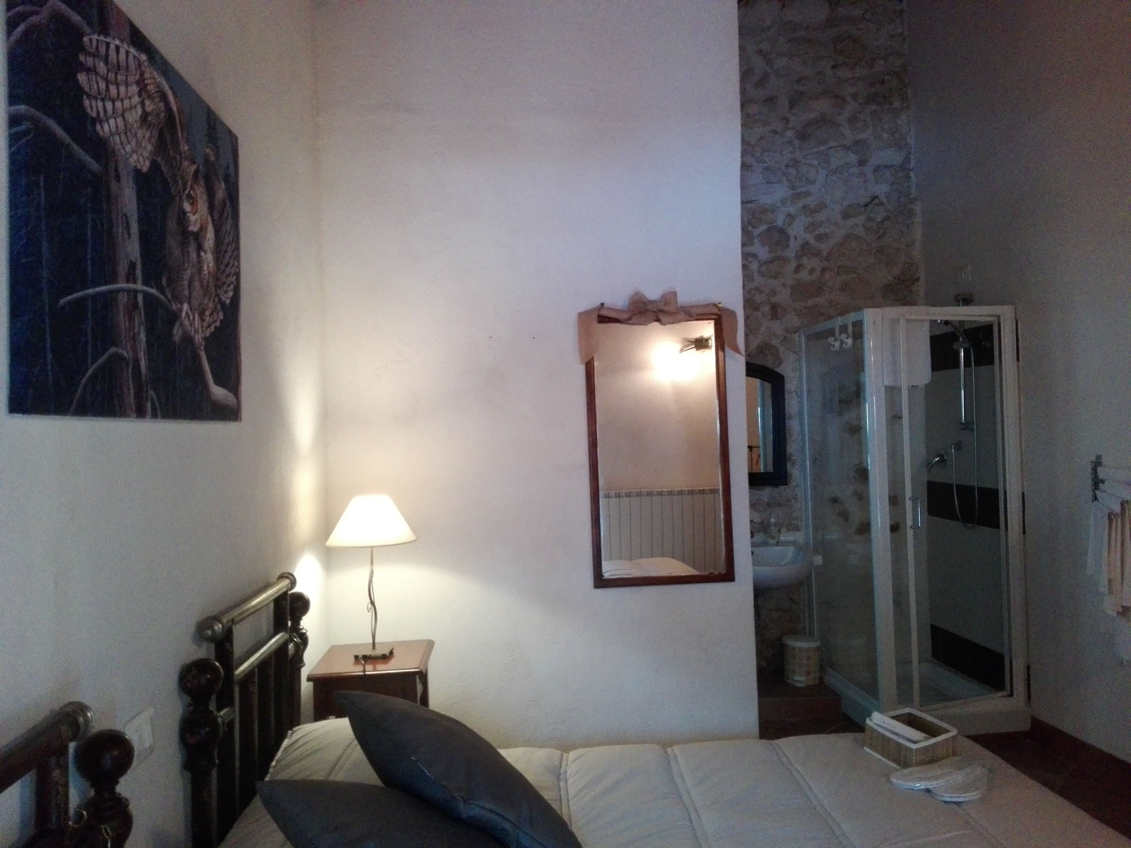 A bedroom with a bed, a bedside lamp, a mirror, and a bathroom with a shower and toilet.