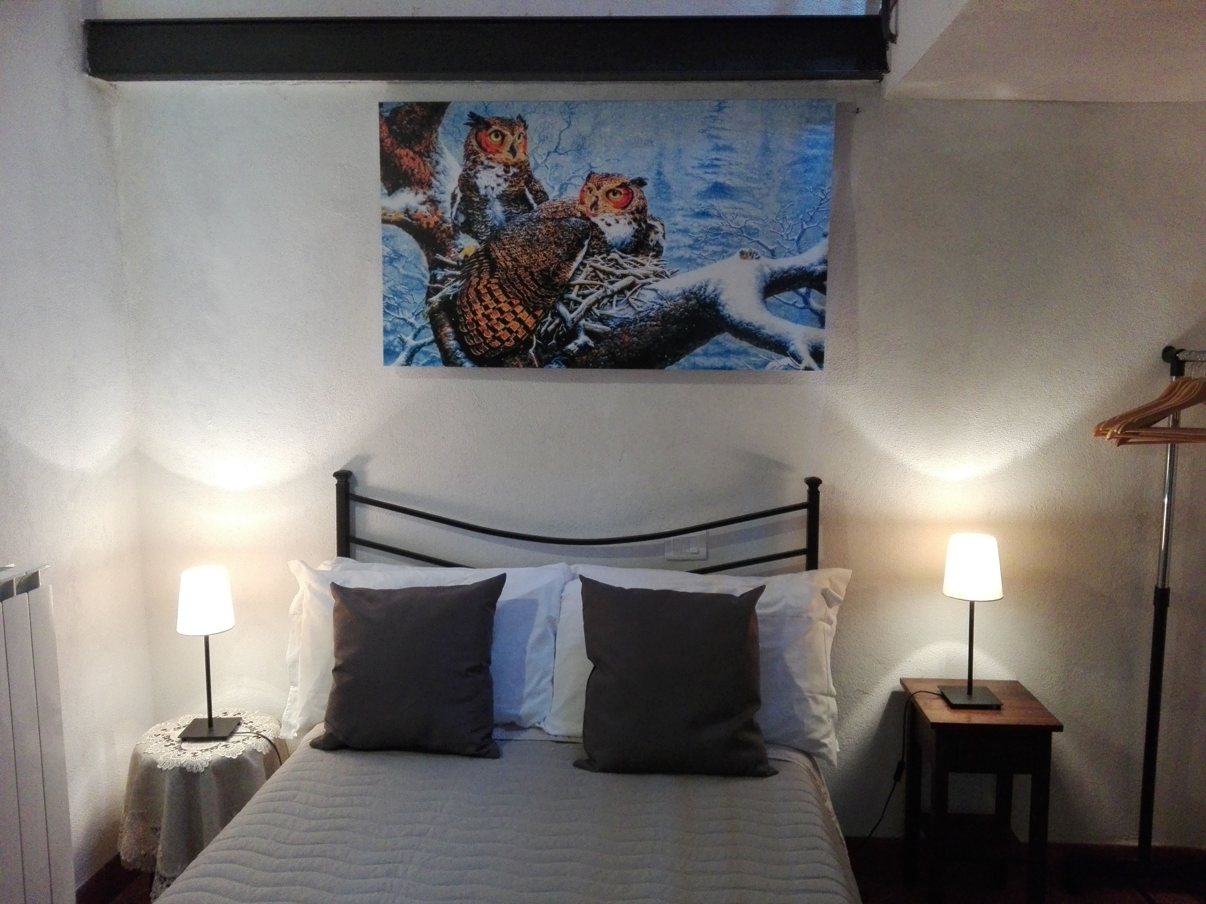 Een slaapkamer met een bed, twee bedlampen, een schilderij van uilen en een radiator.