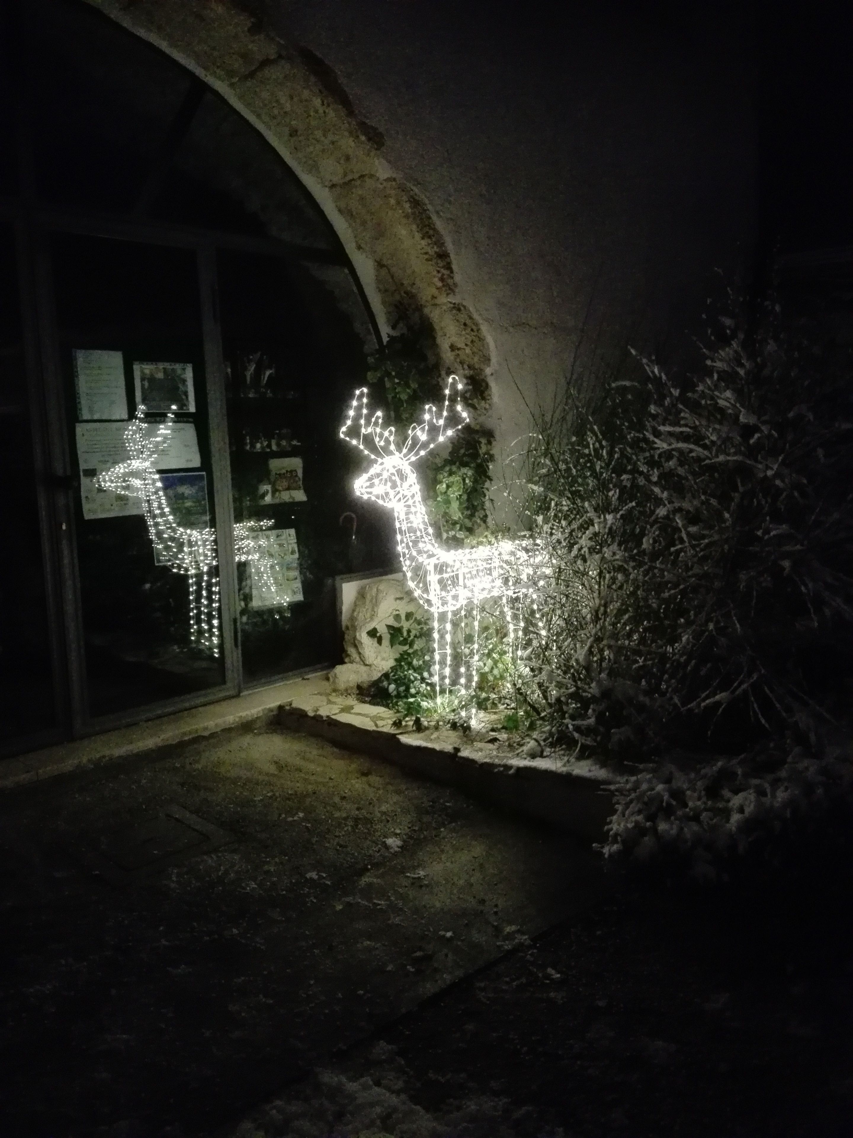A building entrance with a lighted reindeer decoration.