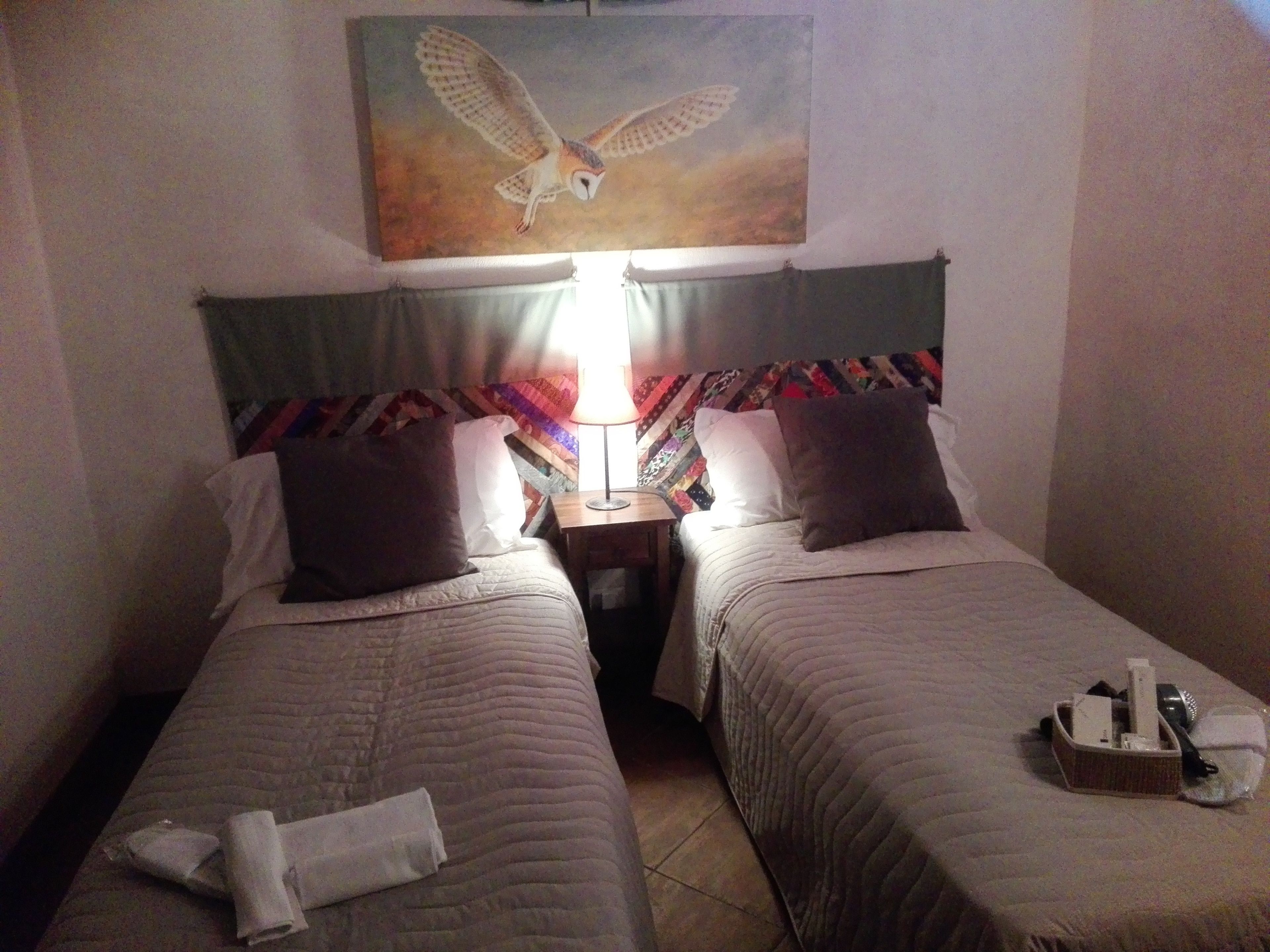 Ett hotellrum med två sängar, var och en med en kudde och ett täcke. På väggen ovanför sängarna hänger en tavla med en uggla.
