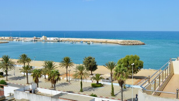 Vista costera con playa arenosa, palmeras y cielo azul despejado.