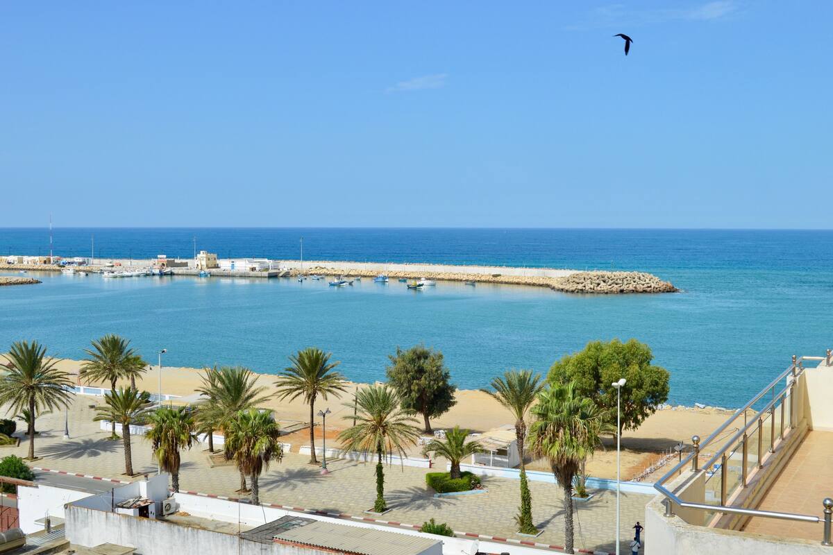 A coastal view with a sandy beach, palm trees, and a clear blue sky.