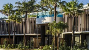 Un bâtiment moderne aux lignes verticales, doté d’un pont de verre et bordé de palmiers.