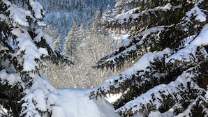 Un letrero de madera indica Pennay's en River Run, rodeado de árboles cubiertos de nieve.