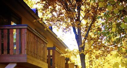 Great 2 bed townhouse. This is the best location in Ketchum!