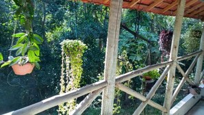 A wooden structure with a red roof, surrounded by lush greenery. - Acomodação Penedo (Itatiaia)