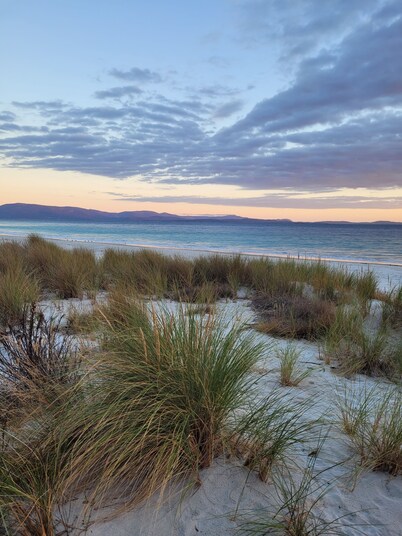 Roaring Beach Retreat - pet friendly, beachfront