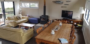 TV connectée, cheminée, lecteur de DVD, livres