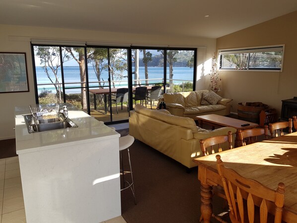 TV connectée, cheminée, lecteur de DVD, livres