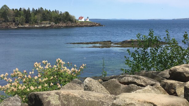 A coastal landscape with a lighthouse, rocky shoreline, and a forested island. - Superb Location! 5min walk to town & EV charger port (Camden)