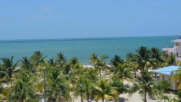 Vista de la playa con palmeras y un edificio de techo azul.