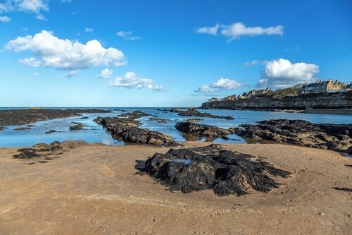 The Neuk | Stylish 2-Bed Coastal Apartment near Beaches, St Andrews & Golf