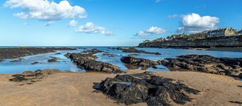 The Neuk | Stylish 2-Bed Coastal Apartment near Beaches, St Andrews & Golf