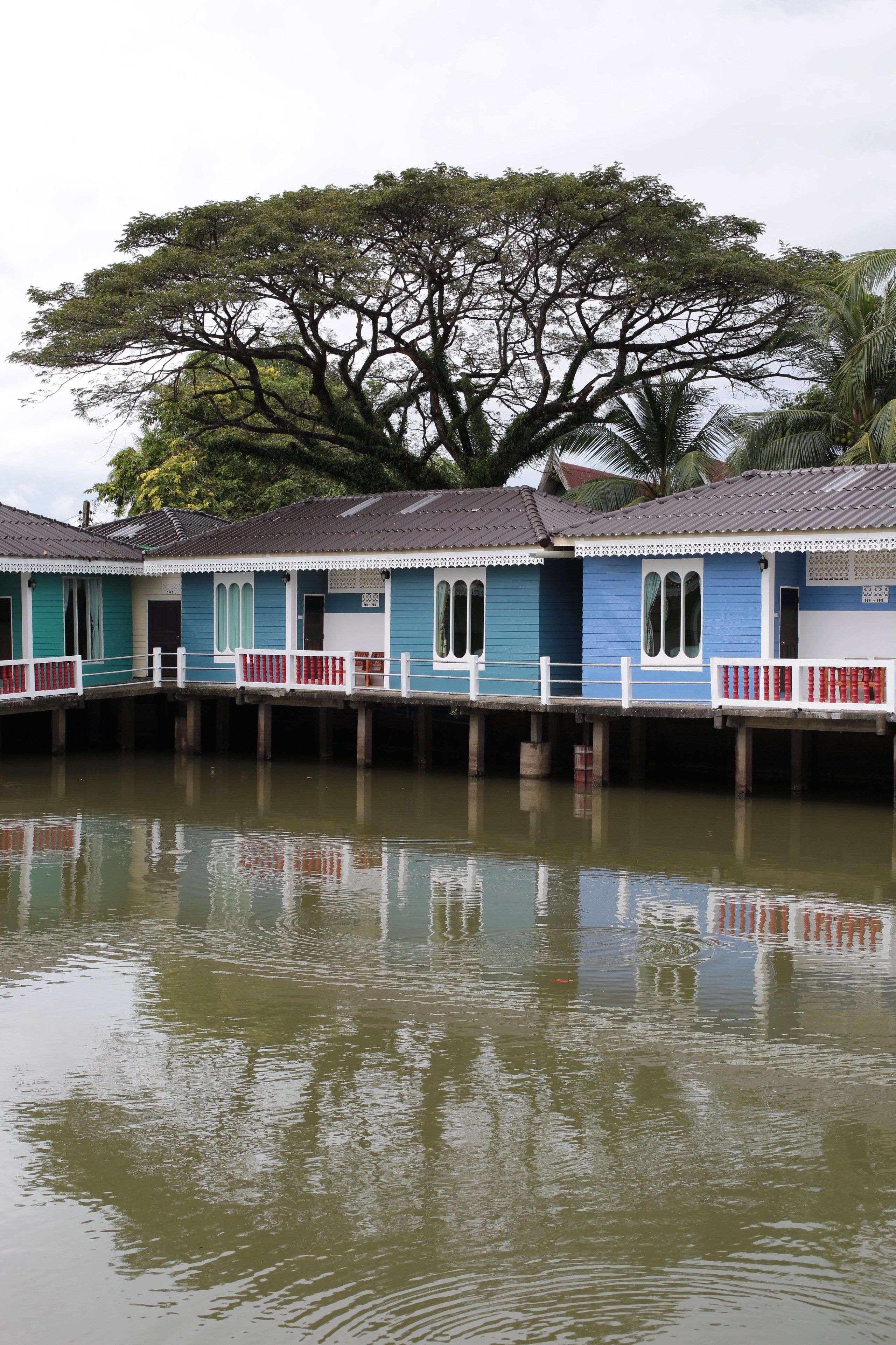 Una hilera de casas sobre pilotes, de color azul y blanco, sobre el agua, con un árbol grande al fondo.