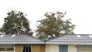 A pathway leading to a row of yellow buildings with white railings and windows. - Lampam Resort (Phatthalung)