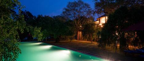 Outdoor pool, sun loungers
