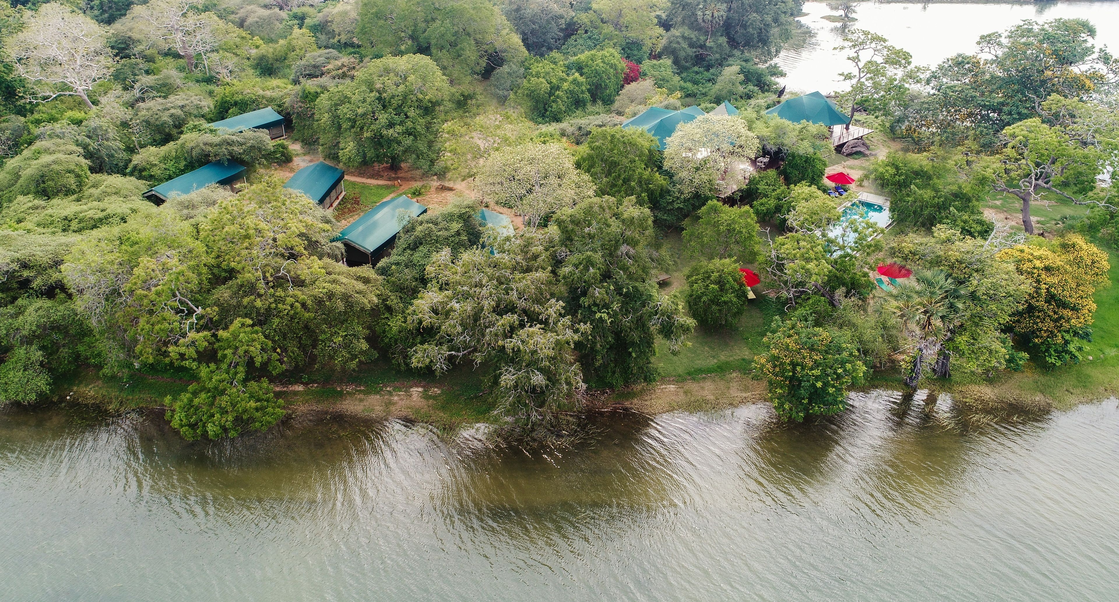 Vista aérea de un complejo turístico junto al lago con varias cabañas de techo verde rodeadas de vegetación densa y un pequeño área de piscina.