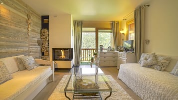 Televisie, een open haard, een dvd-speler en boeken