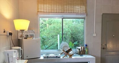 Homely Ground Apartment