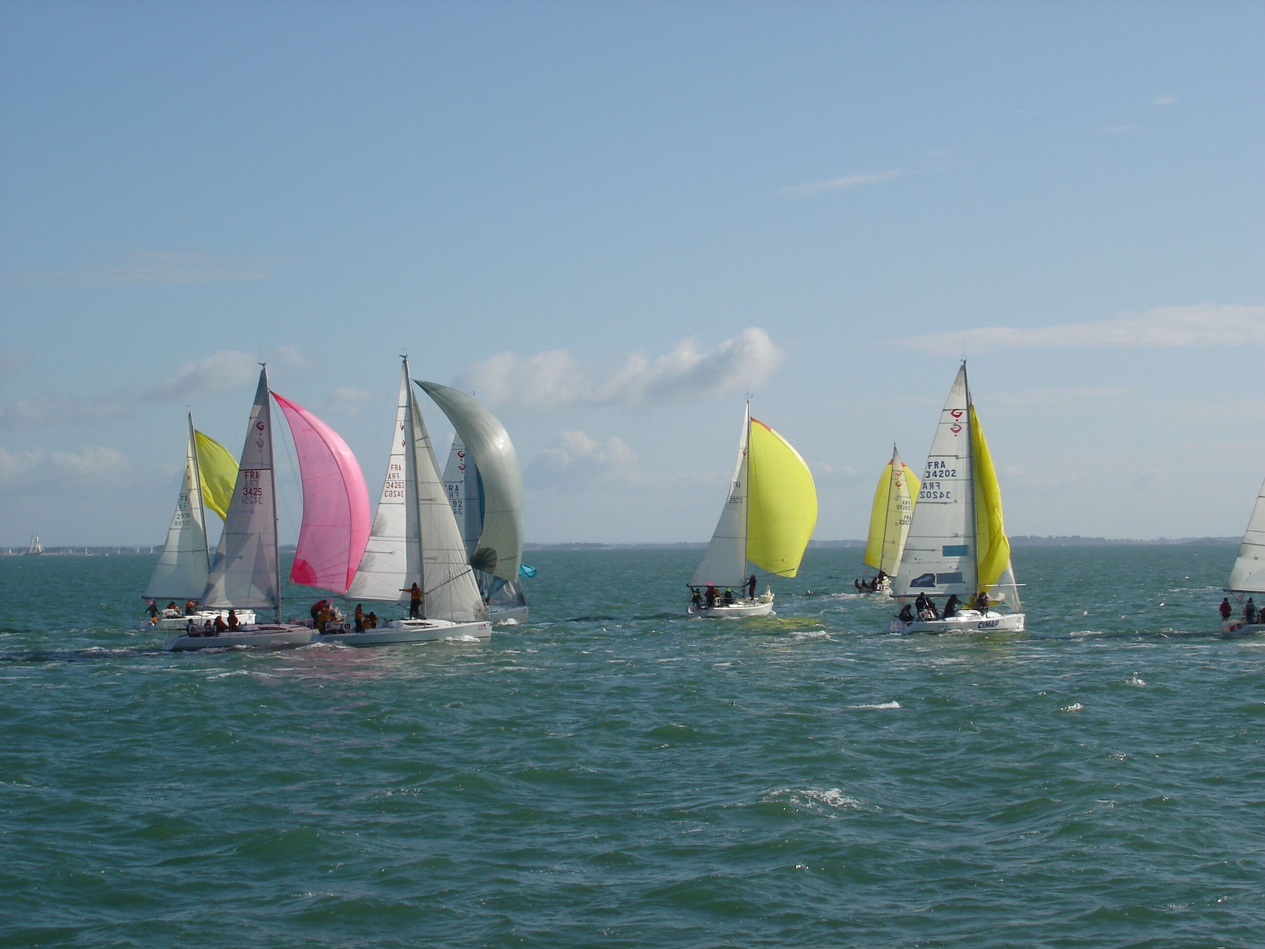 A group of sailboats on a body of water.