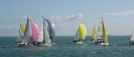 A group of sailboats on a body of water.