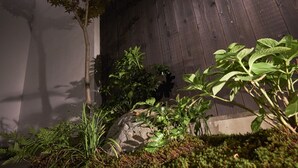 Garden - Nishijinkita-ajisai (Kyoto)