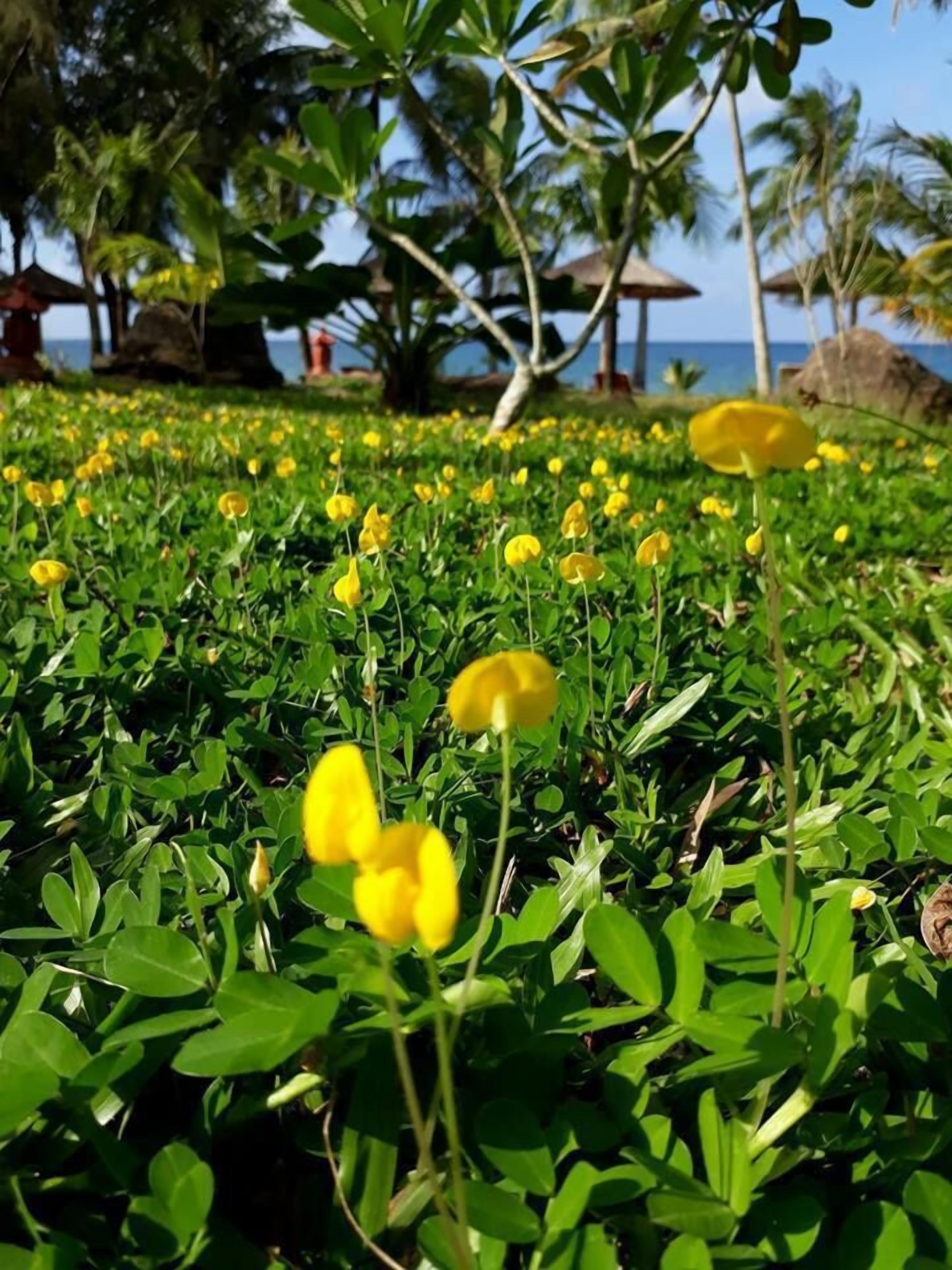 Photo - Sam Ong Lang Homestay