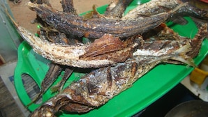 식사 및 음료