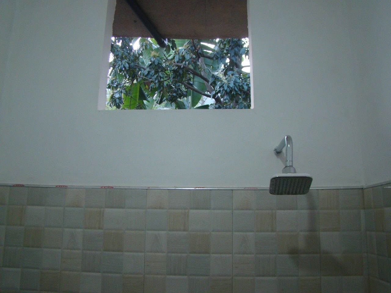 Douche de la salle de bain