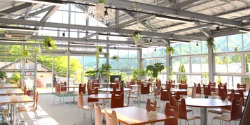 A spacious indoor dining area with tables and chairs, large windows, and hanging plants.