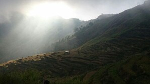 A hilly landscape with terraced fields and a person standing in the foreground. - A Hotel Baguio (Baguio)