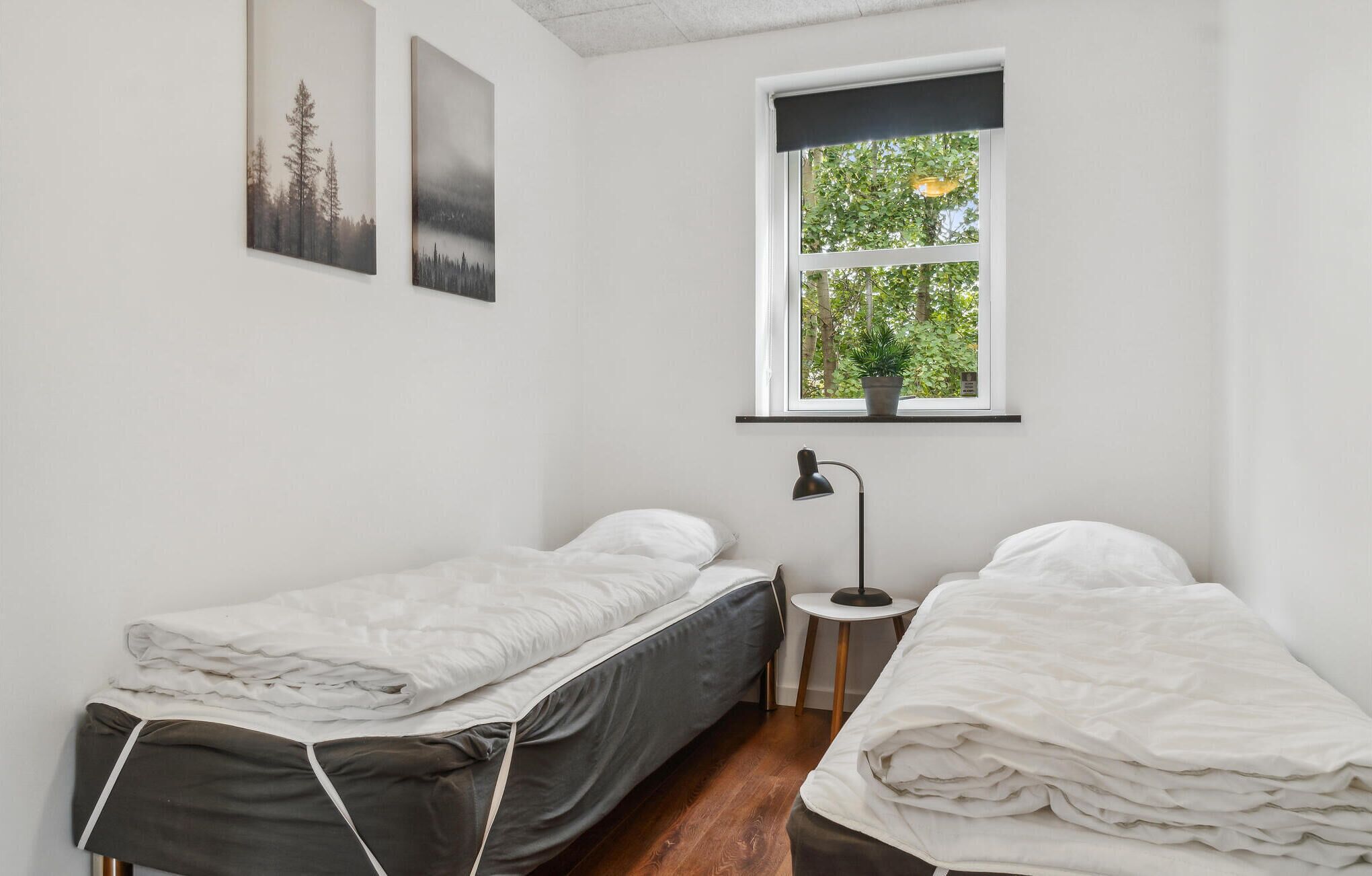 Una habitación pequeña y limpia con dos camas individuales, una ventana con vistas a árboles y una mesita con una lámpara.