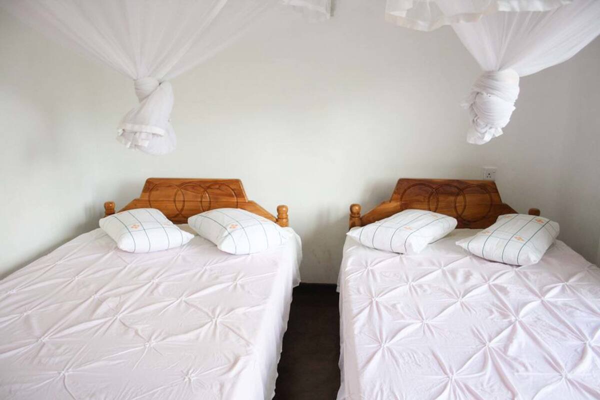 Two single beds with wooden headboards, white bedding, and mosquito nets above.