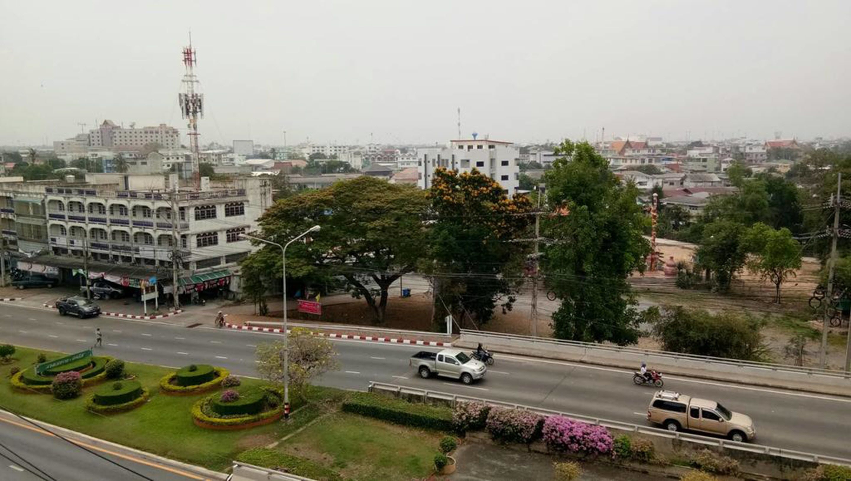 A cityscape with a multi-story building, a road with vehicles, and a large tree.