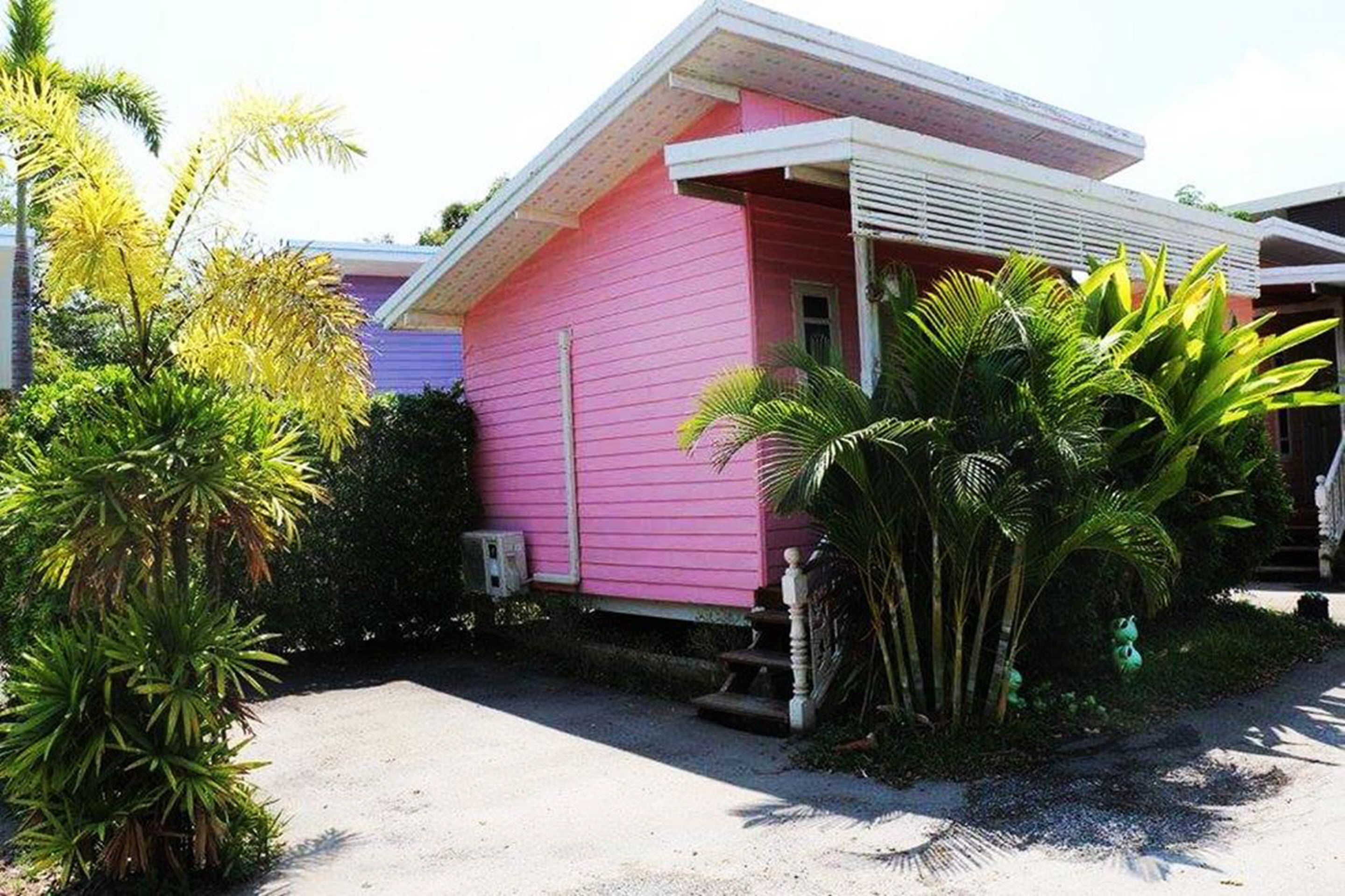 Une maison rose avec un porche, entourée de plantes tropicales.