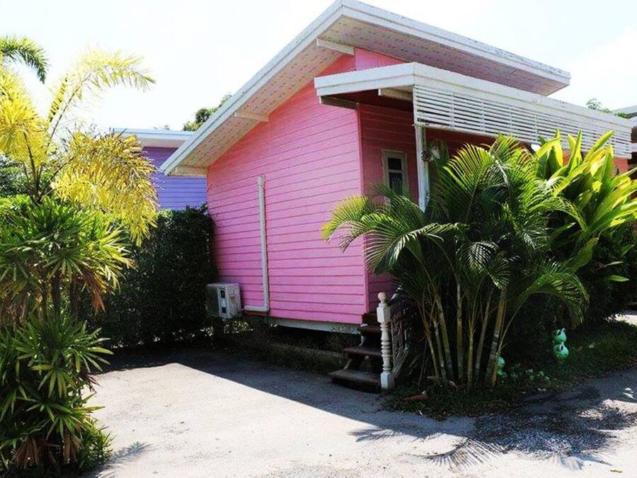 A pink house with a porch, surrounded by tropical plants.