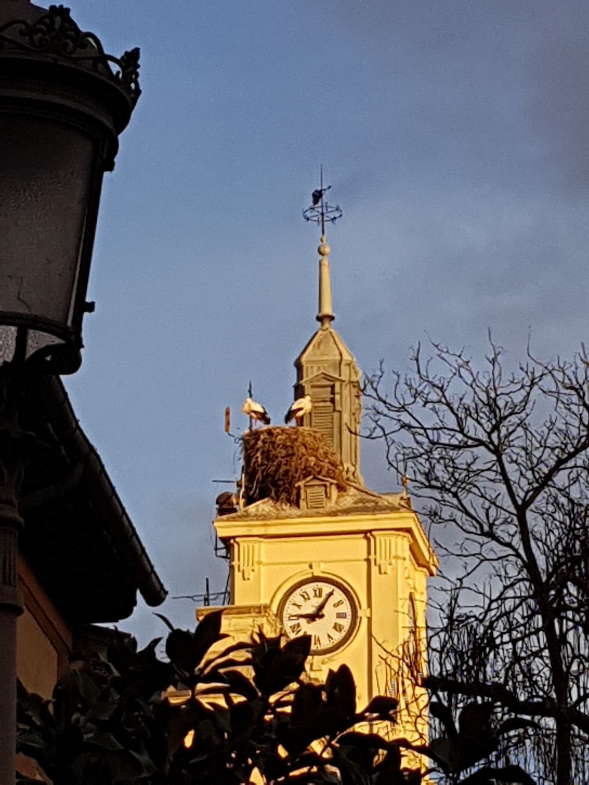 A clock tower with a weather vane and two birds on top.