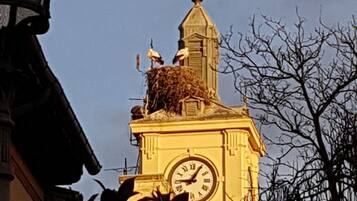 A clock tower with a weather vane and two birds on top.