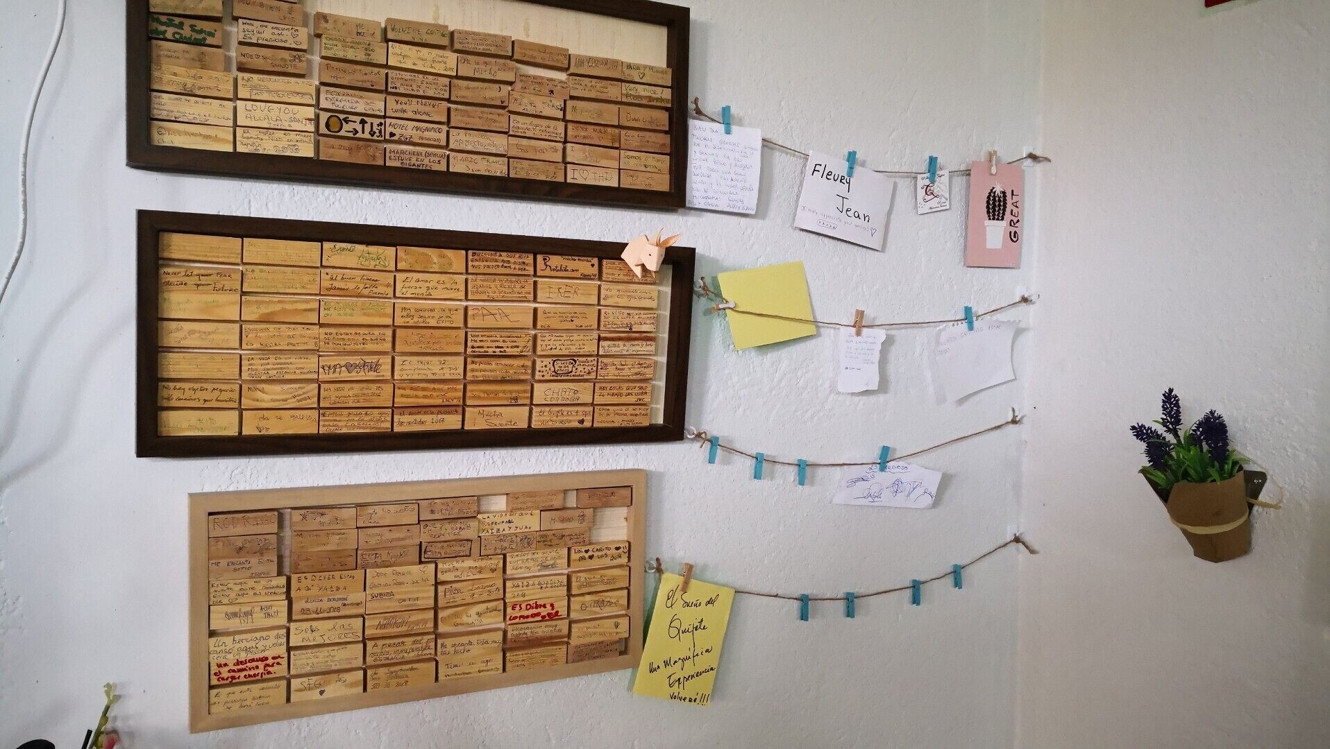 Three corkboards with handwritten notes and a small potted plant on a wall.