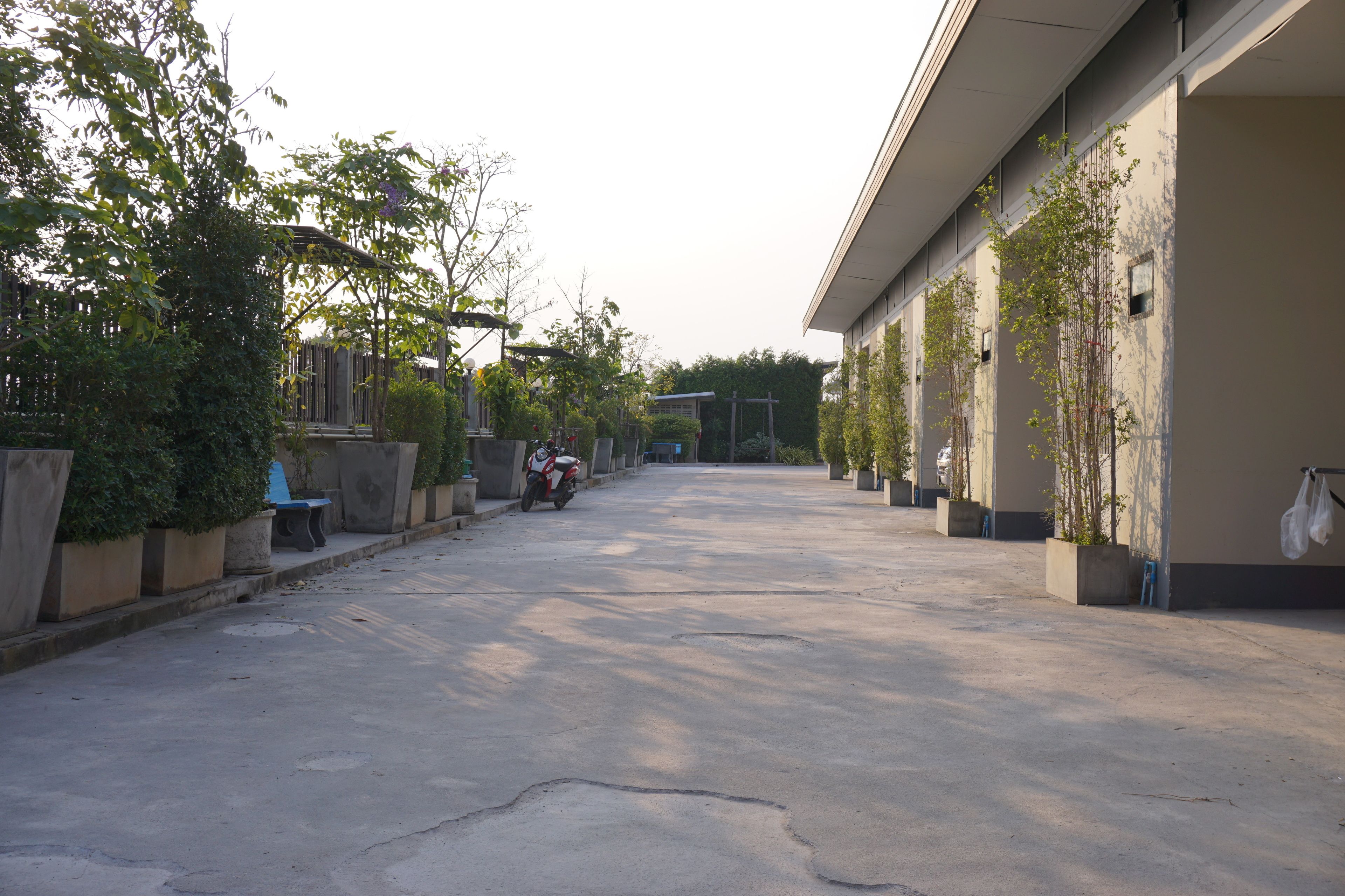Una calle tranquila con un edificio a la derecha, plantas en macetas y una motocicleta estacionada.