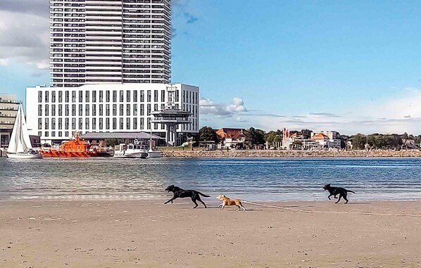 Am Strand, Wasserski