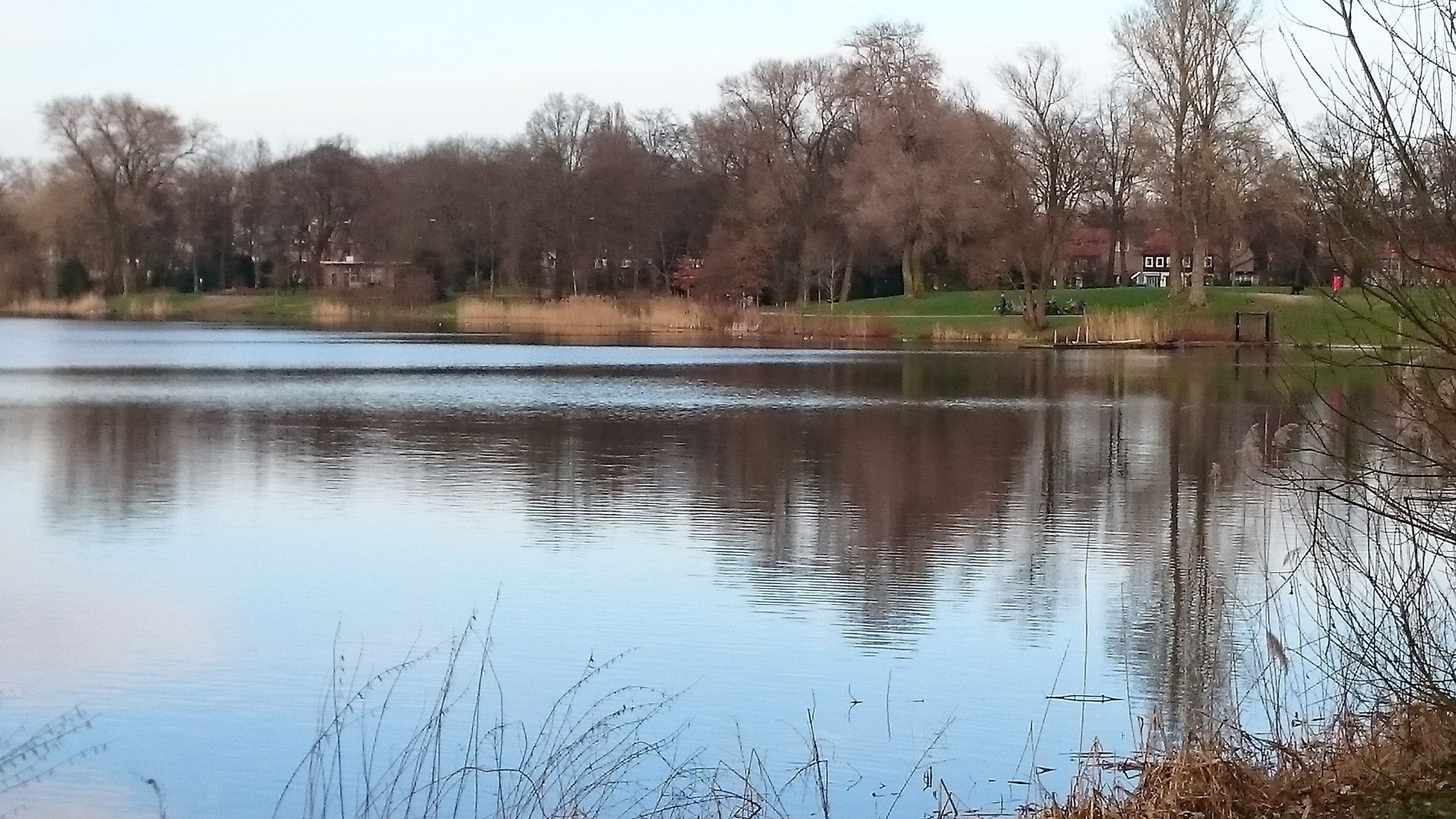 A calm lake with reflections of trees and buildings, surrounded by grassy areas and a few houses in the background.