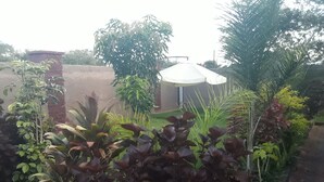 A garden with various plants and a small structure. - Sweet Holiday Homes (Victoria Falls)