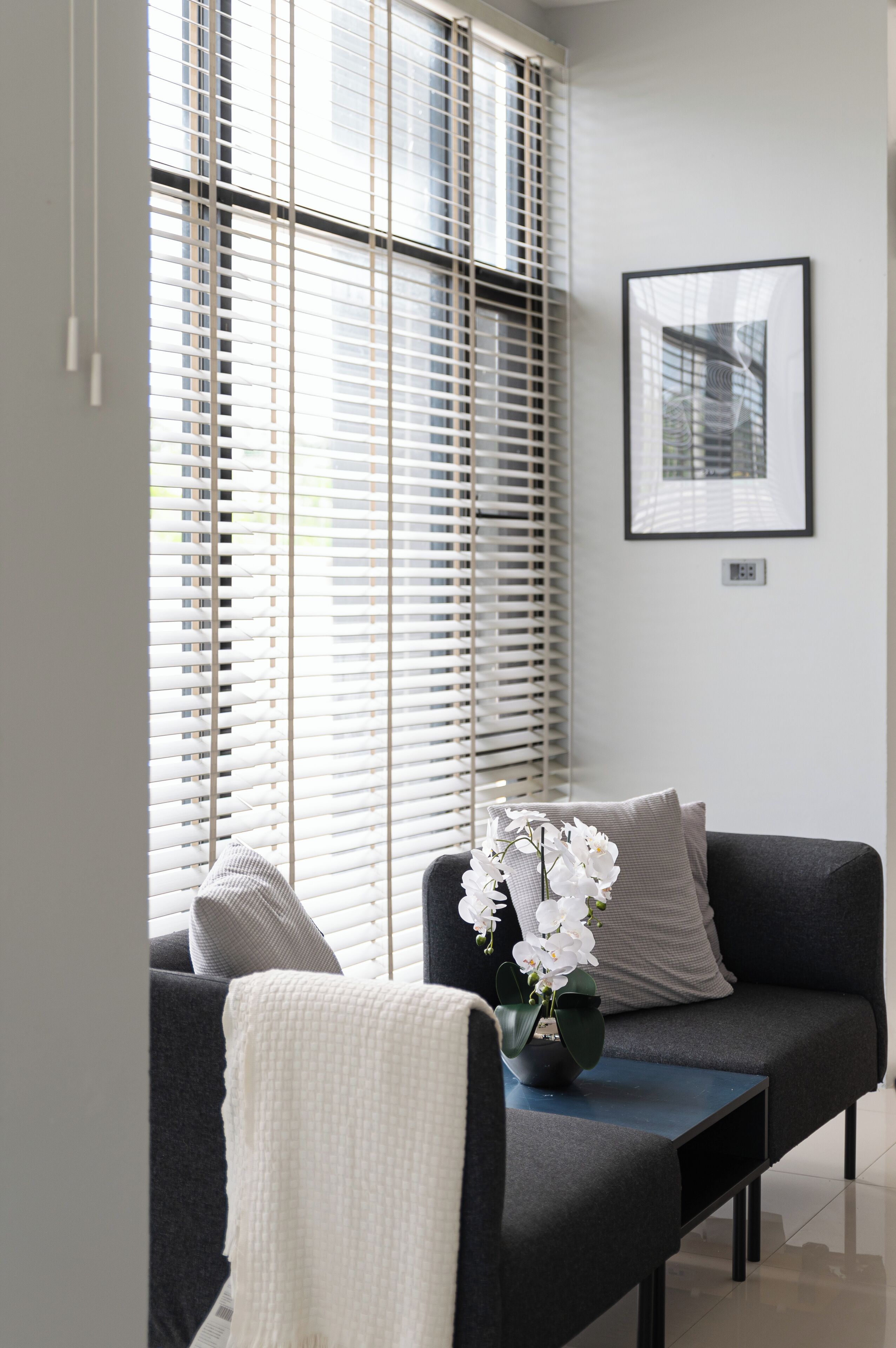 Télévision à écran plat de 24 pouces avec chaînes numériques, télévision