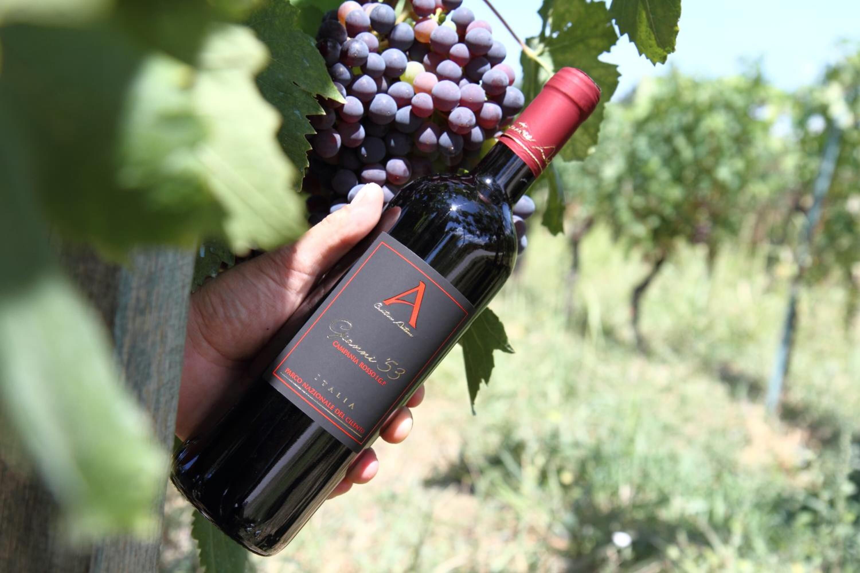 Una persona sosteniendo una botella de vino con una etiqueta que incluye el texto 'CAMPAINA ROSSA 53' y 'VIÑEDO NACIONAL DE CHIANTI'.