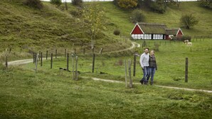 A rural landscape with a path, a red barn, and a few cows. - KUSKAHUSEN VANDRARHEM (Brosarp)