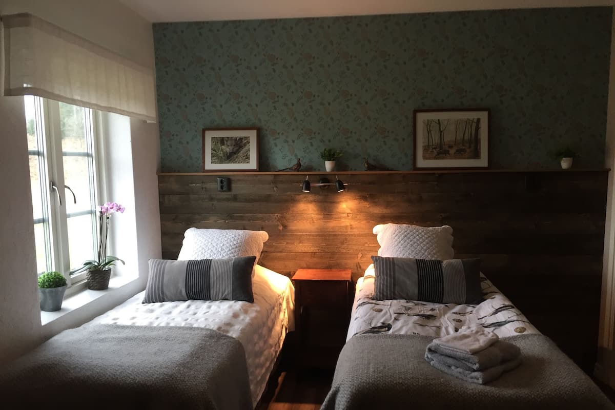 Une chambre avec deux lits, une tête de lit en bois, une fenêtre avec une plante et un mur orné de deux tableaux encadrés.